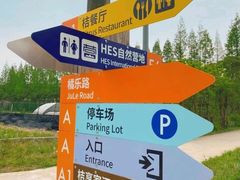 -前小桔亲子创意农场·草莓采摘·露营烧烤