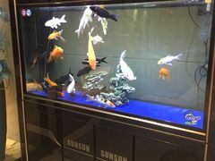 -香水足浴•按摩•SPA•汤泉会馆(南岗花园街店)