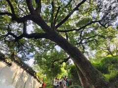 -宁波市保国寺古建筑博物馆