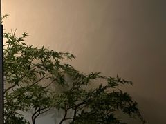 -玖五京菜(杭州城北万象城店)