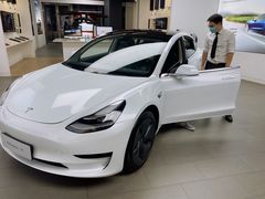 -TESLA 特斯拉(郑州正弘城体验店)