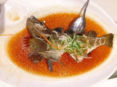 -頂好酒家·经典粤菜(海信广场店)