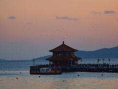 -开海·红岛海鲜虾水饺(石老人店)