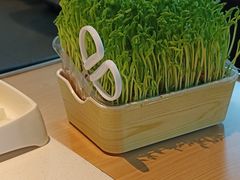 -海底捞火锅(海悦天地店)