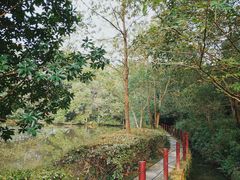 -邓小平故里