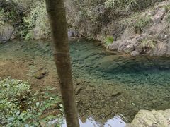 -大奇山国家森林公园