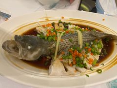 -眉州东坡(团结湖店)