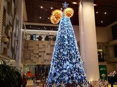 -上海古井假日酒店 · 徽昇楼中餐厅