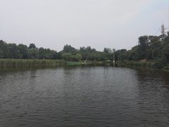 -前关湿地公园