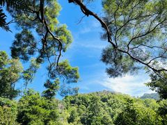 -深圳仙湖植物园
