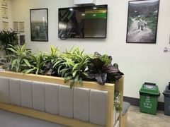 -美联众合动物医院·24h转诊中心