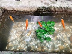 -巴国九王爷火锅(万盛总店)