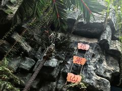 -长春中泰海洋世界