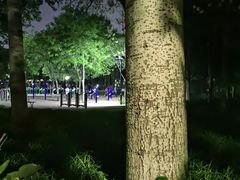 -金星公园