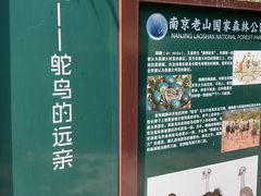 -南京老山国家森林公园
