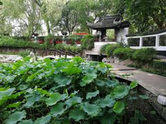 -范蠡湖公园