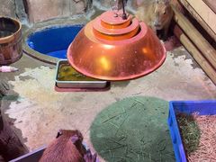 -正佳雨林生态植物园