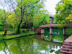 -西溪国家湿地公园