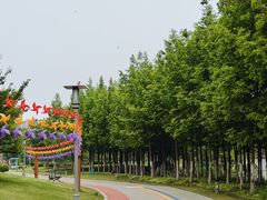 -桃花岛公园