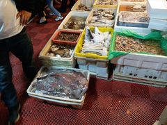 -芦潮港集贸市场