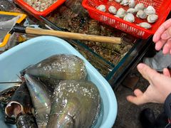 -船奇蒸汽海鲜·闽菜(八市海鲜总店)