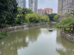 -晓港公园