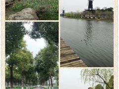 iphone_upload_pic-上海鲜花港