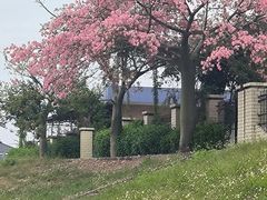 -风云岭森林公园