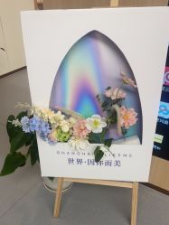 -上海伊莱美医疗美容医院