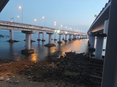 -星海湾跨海大桥