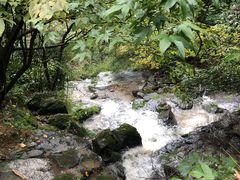 -藏龙百瀑风景区