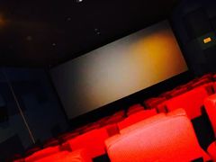 -太平洋影院(西村店)