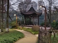 -重庆彩云湖湿地公园
