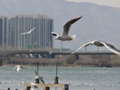-森林公园(尖草坪区)