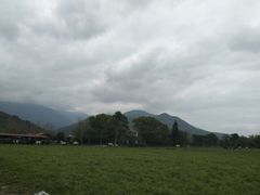 -瑞穗牧场