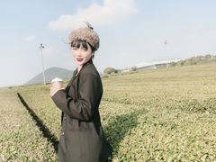 -雪绿茶博物馆
