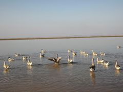 -鄱阳湖国家湿地公园