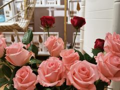 -西檬树SIMON·T轻奢蛋糕(大东方Max店)