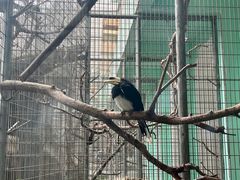-成都动物园