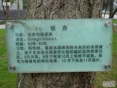 -重庆市江北嘴中央商务区中央公园