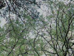 -白云山风景名胜区