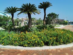 -渔岛海洋度假区