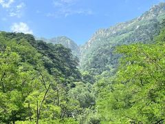 -泰山风景名胜区