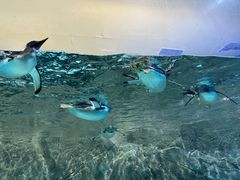 -成都浩海立方海洋公园