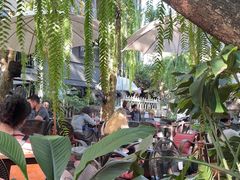 -Fern Forest Cafe