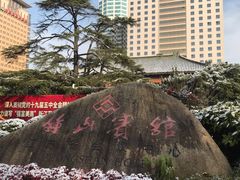 -南京钟山宾馆(江苏省会议中心)