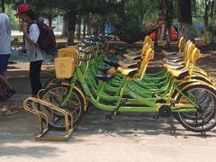 -长白岛森林公园