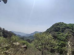 -大岭沟猕猴桃谷风景区