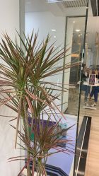 -新晨·SALON·形象造型