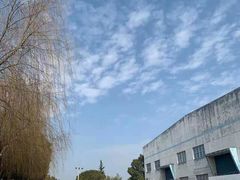 -胜华驾校·小猫学车(银都店)